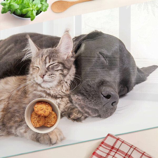 Tagliere in vetro Gatto e cane che dormono insieme