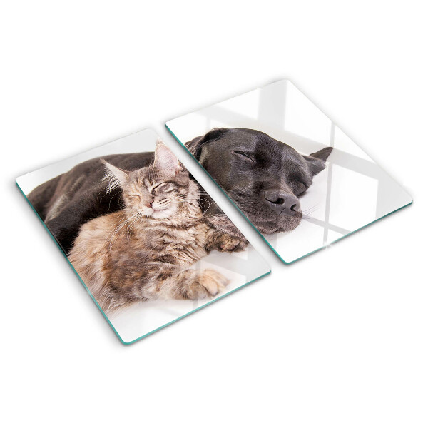 Tagliere in vetro con decorazione raffigurante un gatto e un cane che dormono insieme