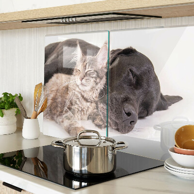 Tagliere in vetro con decorazione raffigurante un gatto e un cane che dormono insieme