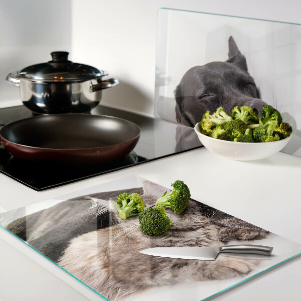 Tagliere in vetro con decorazione raffigurante un gatto e un cane che dormono insieme