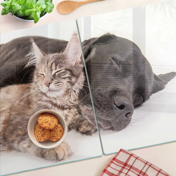 Tagliere in vetro con decorazione raffigurante un gatto e un cane che dormono insieme