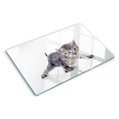 Tagliere in vetro temperato con stampa di un gattino dagli occhi azzurri