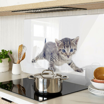 Tagliere in vetro temperato con stampa di un gattino dagli occhi azzurri