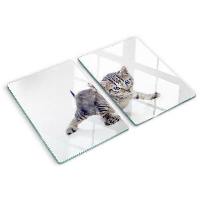 Tagliere in vetro temperato con stampa di un gattino dagli occhi azzurri