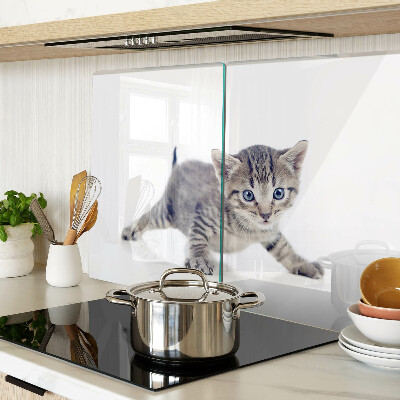 Tagliere in vetro temperato con stampa di un gattino dagli occhi azzurri