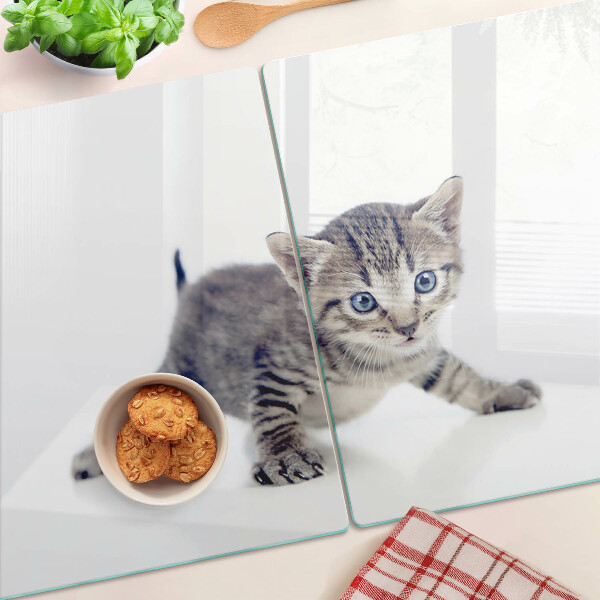 Tagliere in vetro temperato con stampa di un gattino dagli occhi azzurri