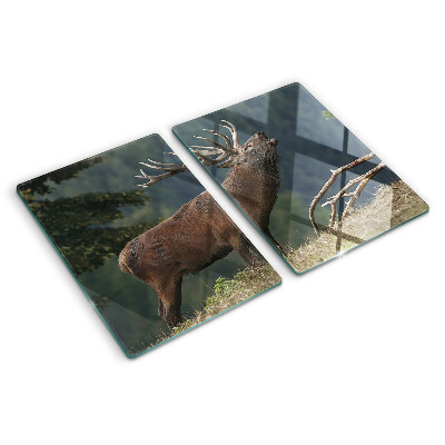 Tagliere in vetro con stampa raffigurante un cervo nel suo ambiente naturale