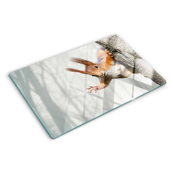 Tagliere in vetro temperato con decorazione di uno scoiattolo su un ramo
