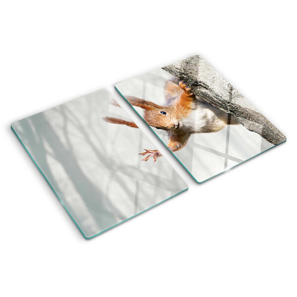 Tagliere in vetro temperato con decorazione di uno scoiattolo su un ramo