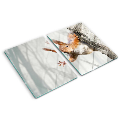Tagliere in vetro temperato con decorazione di uno scoiattolo su un ramo