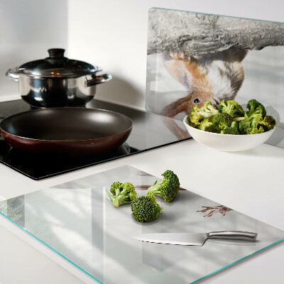 Tagliere in vetro temperato con decorazione di uno scoiattolo su un ramo