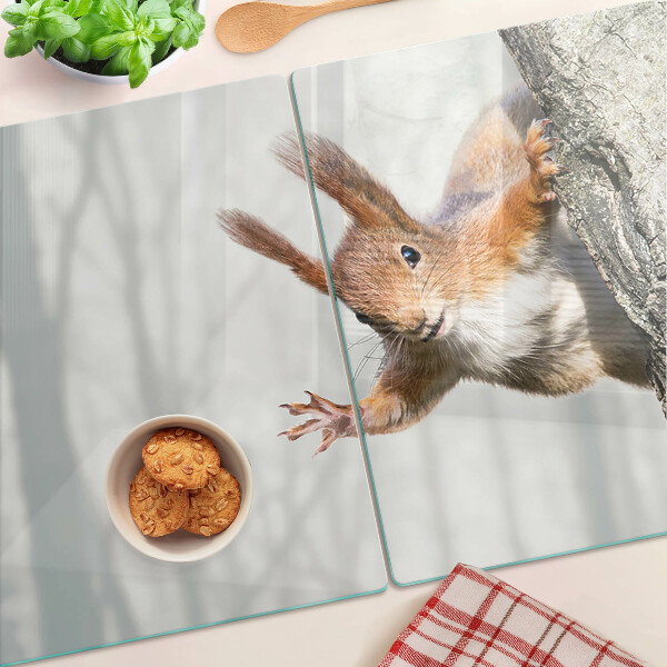 Tagliere in vetro temperato con decorazione di uno scoiattolo su un ramo