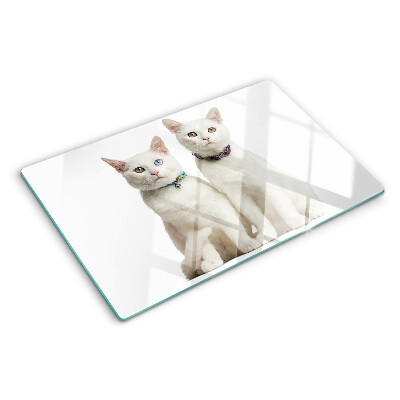 Tagliere in vetro temperato Gatti bianchi con occhi di colore diverso
