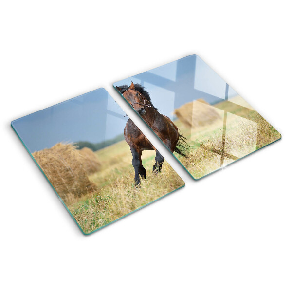 Tagliere in vetro con stampa di un cavallo sul prato