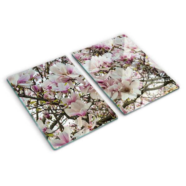 Tagliere in vetro temperato Fiori di magnolia