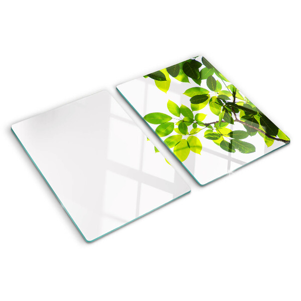 Tagliere in vetro temperato con motivo di foglie su sfondo cielo chiaro