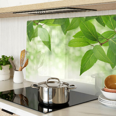 Tagliere in vetro temperato con motivo di foglie su sfondo verde sfocato