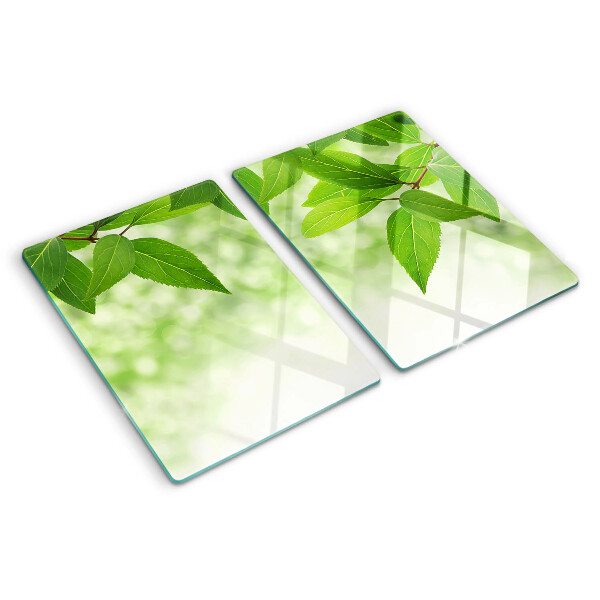Tagliere in vetro temperato con motivo di foglie su sfondo verde sfocato