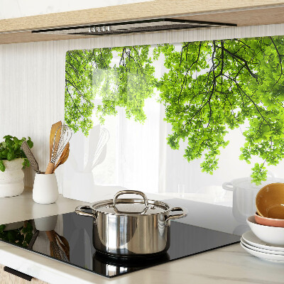 Tagliere in vetro temperato con motivo di foglie verdi su sfondo cielo