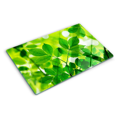 Tagliere in vetro temperato con motivo di foglie su sfondo verde