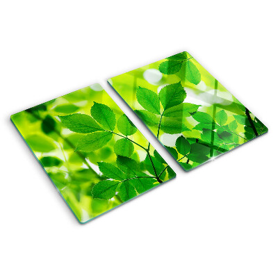 Tagliere in vetro temperato con motivo di foglie su sfondo verde