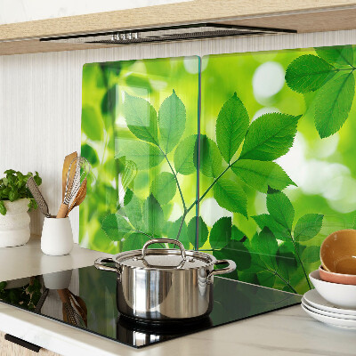 Tagliere in vetro temperato con motivo di foglie su sfondo verde