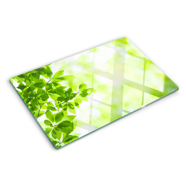 Tagliere in vetro con decorazione di foglie verdi alla luce