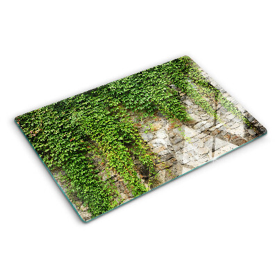 Tagliere in vetro Muro verde con muschio