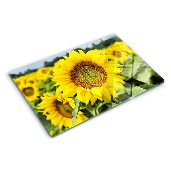 Tagliere in vetro temperato Girasoli sullo sfondo del verde
