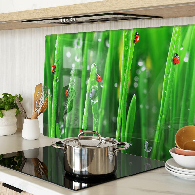 Tagliere in vetro con motivo gocce d'acqua sull'erba e coccinelle