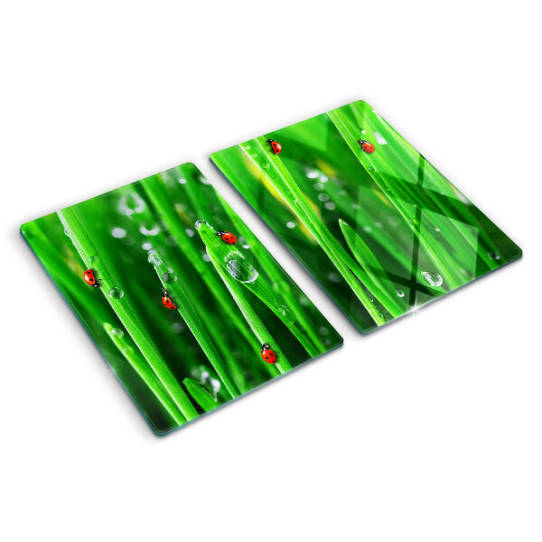 Tagliere in vetro con motivo gocce d'acqua sull'erba e coccinelle