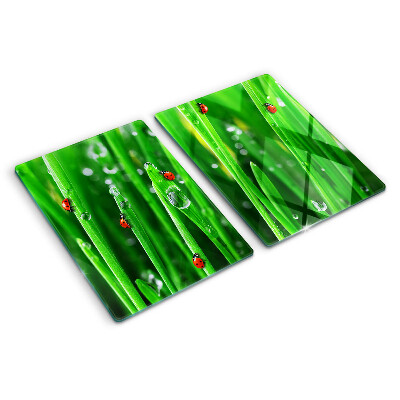 Tagliere in vetro con motivo gocce d'acqua sull'erba e coccinelle