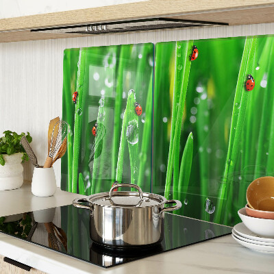 Tagliere in vetro con motivo gocce d'acqua sull'erba e coccinelle