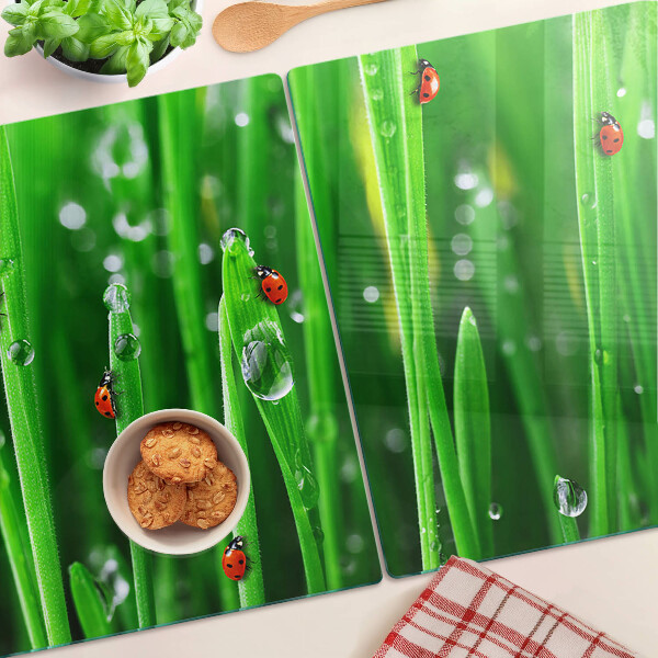 Tagliere in vetro con motivo gocce d'acqua sull'erba e coccinelle