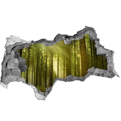 Adesivo con vista dietro il muro Foresta verde al mattino