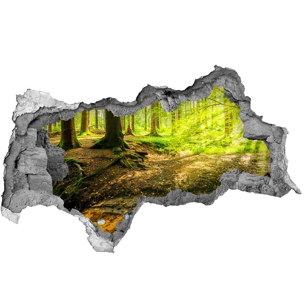 Decorazione da parete buco nel muro Foresta verde con un ruscello