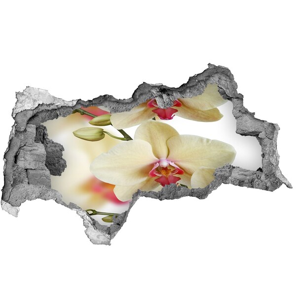 Adesivo con vista dietro il muro Orchidee in un muro diroccato