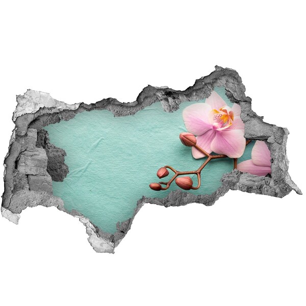 Decorazione da parete buco nel muro Fiore d'orchidea in un muro danneggiato