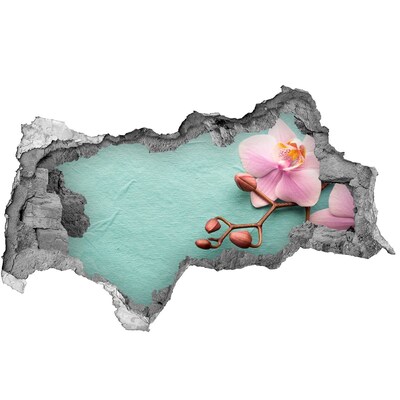 Decorazione da parete buco nel muro Fiore d'orchidea in un muro danneggiato