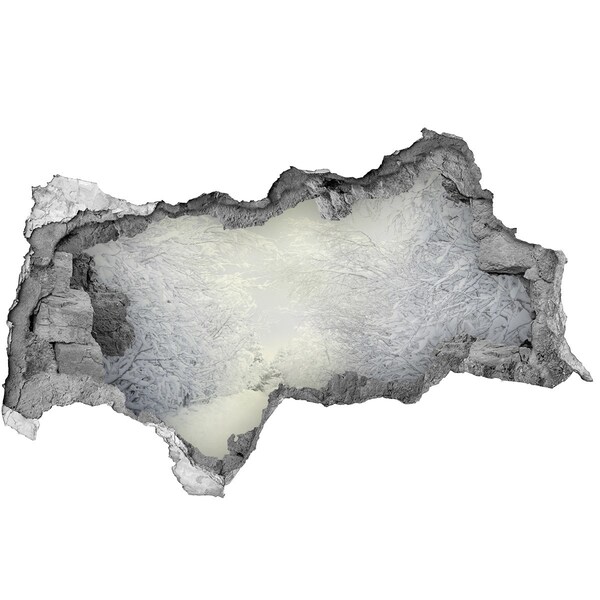 Adesivo con vista dietro il muro Paesaggio invernale dietro il muro