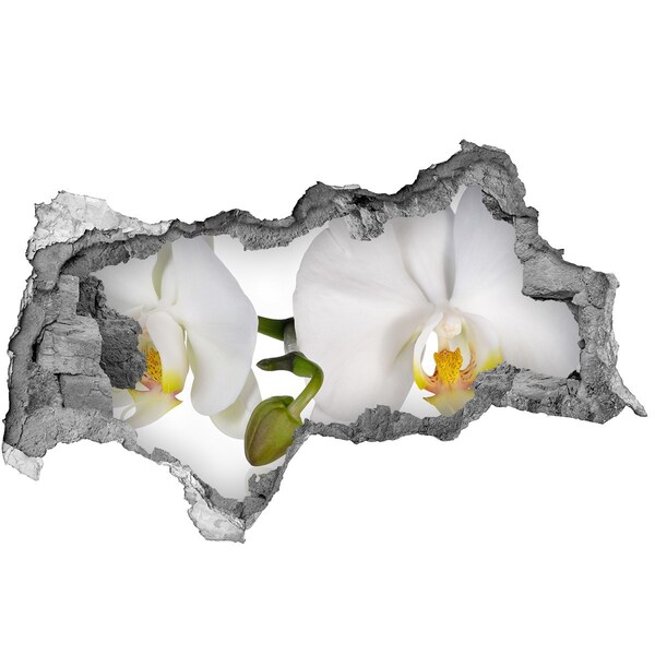 Sticker effetto rottura muro Fiori di orchidea nel cemento