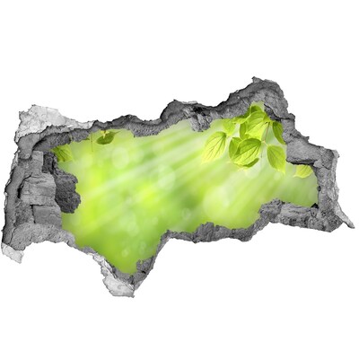 Decorazione da parete buco nel muro Un paradiso verde dietro le mura