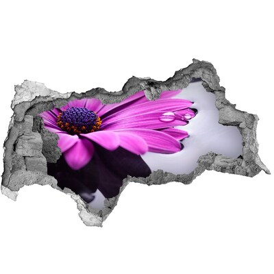 Decorazione da parete buco nel muro Un'oasi floreale dietro il muro