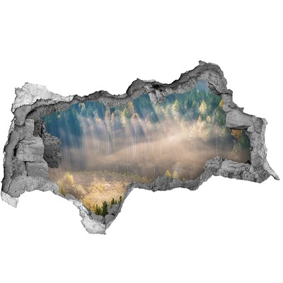 Decorazione da parete buco nel muro Paesaggio forestale dietro il muro