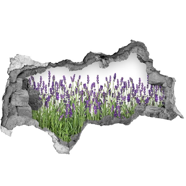 Adesivo con vista dietro il muro Oasi floreale di lavanda