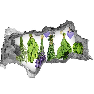 Decorazione da parete buco nel muro Giardino delle erbe aromatiche nel buco nel muro