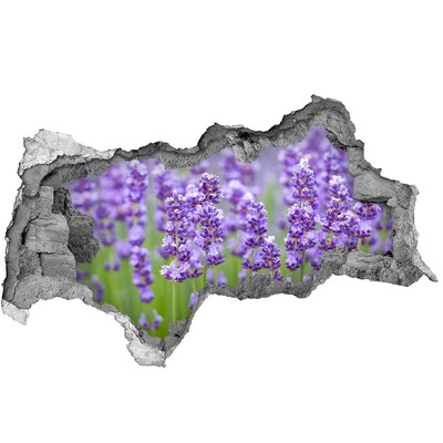 Adesivo con vista dietro il muro Campo di lavanda sotto il sole
