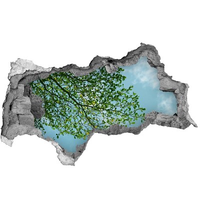 Adesivo con vista dietro il muro Foglie verdi sotto un cielo blu