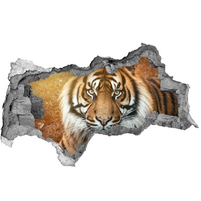 Sticker effetto rottura muro La tigre nel buco nel muro
