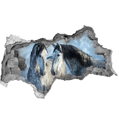 Adesivo con vista dietro il muro Cavalli nello spazio virtuale